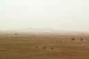 A landscape view dated May 2003 shows the Saharan desert in southern Algeria near the city of Illizi