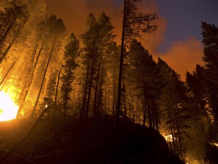 Flames from the Trinity Ridge Fire in the Boise National Forest engulf trees near Pine and Featherville, Idaho