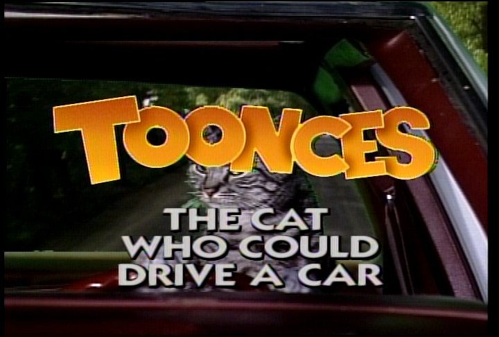  - SNL_0595_05_Toonces_The_Cat_Who_Could_Drive_A_Car