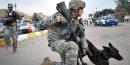 The US Army wants to outfit dogs with tiny cameras and other advanced gear to make them even more effective in combat