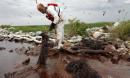 'I pray to God it never happens again': US gulf coast bears scars of historic oil spill 10 years on