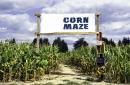 California man arrested after leading police on 2-hour chase through corn maze