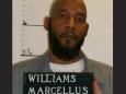 Marcellus Williams execution delayed after DNA test raises question about his guilt
