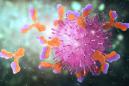 Study: Testing COVID-19 T cells instead of antibodies more accurately finds past infections