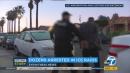 ICE arrests dozens in Los Angeles area immigration crackdown