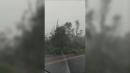 Dashcam video captures damage following tornado in Maryland