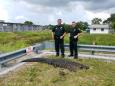 9-Foot Alligator Attacks And Kills 75 Pound Dog In Florida