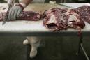 Brazil confronts fallout from rotten meat exports row