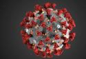 After testing delays, US coronavirus cases surge past 900