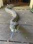 2 pythons weighing 100 pounds collapse ceiling in Australia