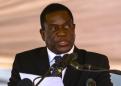 Mnangagwa: Mugabe's sunken 'crocodile'