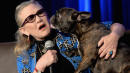 Carrie Fisher's BFF Dog Has A Perfectly Adorable Cameo In 'Star Wars: The Last Jedi'