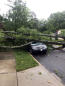 Two dead in severe storms in Carolinas; thousands without power