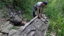 Mexico archaeology: Pre-Hispanic ruins found on mountaintop