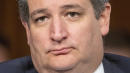 Twitter Users Rib Ted Cruz For Joking Beto O'Rourke Will Ban BBQ