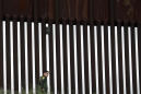 Border apprehensions rose in June, despite expulsions policy