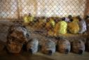 Prison-made US combat helmets endangered soldiers: report