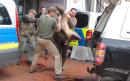 Man's fingertip torn off as wild boar rampage puts German town under siege