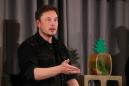 Tesla's Musk apologizes for comments on British caver