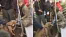 Pit Bull Seen Clamping Down on Subway Rider's Foot in Harrowing Video