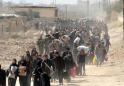 Unos 8.000 civiles muertos por bombardeos rusos en Siria en 3 años, dice ONG