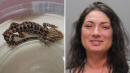 Alleged DUI Driver Found With Pet Lizard In Her Bra After Crashing Mercedes: Cops