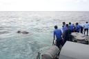 Sri Lankan navy rescues elephant washed out to sea
