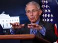 Fauci says Americans need to 'hunker down and get through this fall and winter,' or else play a game of whack-a-mole with the COVID-19 virus
