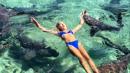 Houston model bitten by shark while swimming in the Bahamas