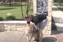 Army sergeant has sweet reunion with his military dog after 2 years apart