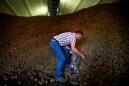 Coronavirus leaves Washington farmers with a big problem: What do you do with a billion pounds of potatoes?