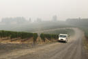 Wildfires taint West Coast vineyards with taste of smoke