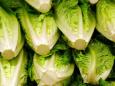 Five dead as E coli outbreak spreads across the US in contaminated lettuce