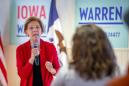Who is 'Elizabeth Warren' the politician, and what has she done with the nonpartisan wonk?