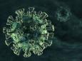 The coronavirus has thick spikes that seem to latch more easily onto human cells than other viruses, according to a 3D map of its structure