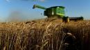 Altering global diets, food systems could help combat climate change: UN