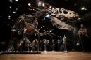 Remains of the day: dinosaur skeleton fetches three million euros