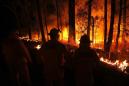 Australia's Wildfire Crisis: Key Numbers Behind the Disaster