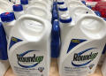 Monsanto ordered to pay $289 million in world's first Roundup cancer trial