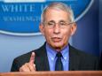 Anthony Fauci said New York is an example of how to 'correctly' confront soaring coronavirus cases