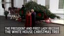 The Trumps receive the White House Christmas tree