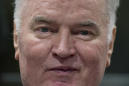 Mladic lawyers call on UN judges to overturn his convictions