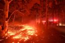 Australia bushfires spark 'unprecedented' climate disinformation