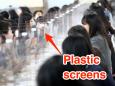 Photos show South Korean students eating and learning with plastic screens between them as schools start to reopen