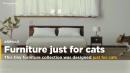 Tiny Furniture Collection Was Designed Just For Cats