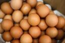 Tainted-eggs scandal reaches Italy