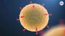 Here's how to safely reopen America when coronavirus pandemic wanes