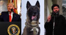 Trump shows off 'wonderful' dog used in al-Baghdadi raid