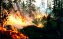 Russia engineers climate to induce rain as wildfires rage across Siberia