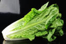 Stay Away From All Forms of Romaine Lettuce, CDC Warns